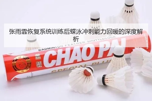 张雨霏恢复系统训练后蝶泳冲刺能力回暖的深度解析